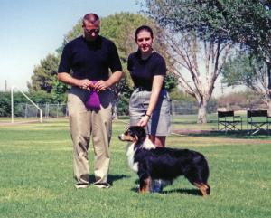 Cody going Winners Dog at OPASC under Judge Gary Cook September 16, 2000.          